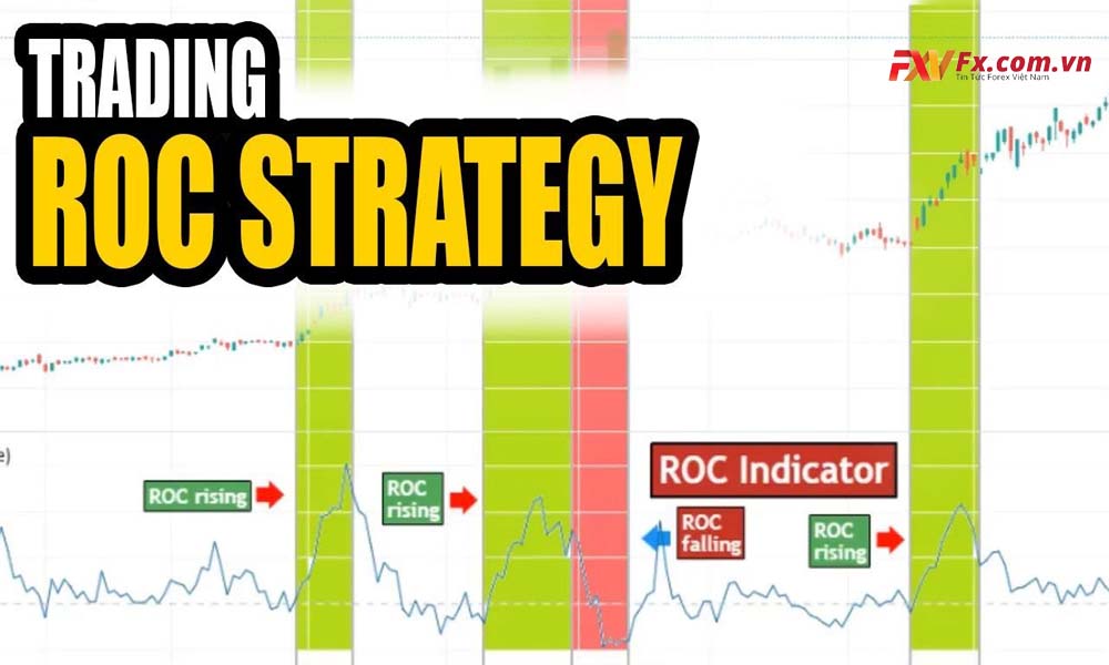 Chỉ báo ROC là gì? Công cụ xác định chỉ báo mức độ biến động