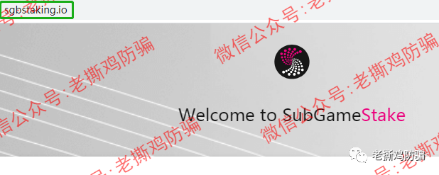 Subgame（SGB），披着波卡生态平行链外衣的假公链真资金盘！！