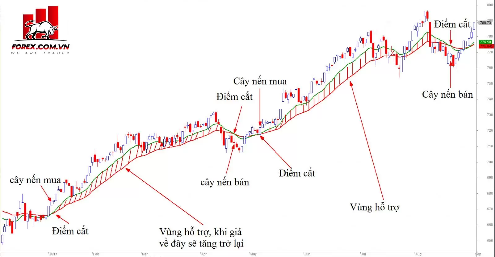 EMA – Đường trung bình động hàm mũ và cách sử dụng trong giao dịch