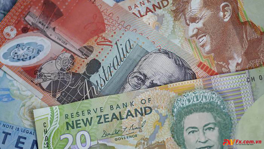 NZD/USD vượt trội hơn khi tỷ lệ cược RBNZ thắt chặt