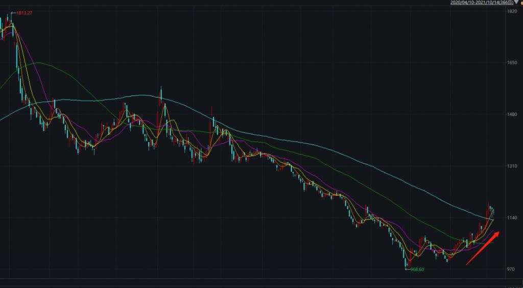 全军覆没，A 股养猪的哭了！前两年挣的钱，今年都亏光了