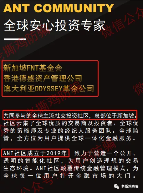 ANT社区AI跟单：国人自导自演币圈转战外汇圈的资金盘！