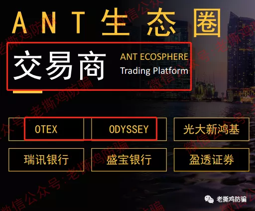 ANT社区AI跟单：国人自导自演币圈转战外汇圈的资金盘！