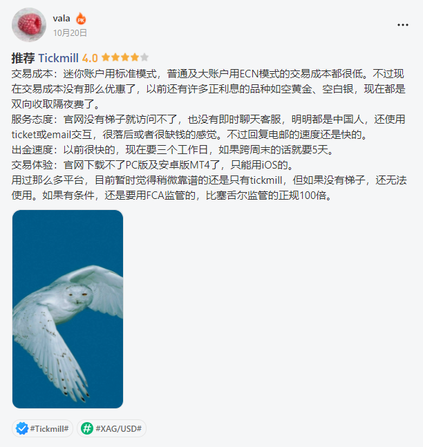 有奖口碑调查 | 你在 Tickmill 经历过卡盘吗？
