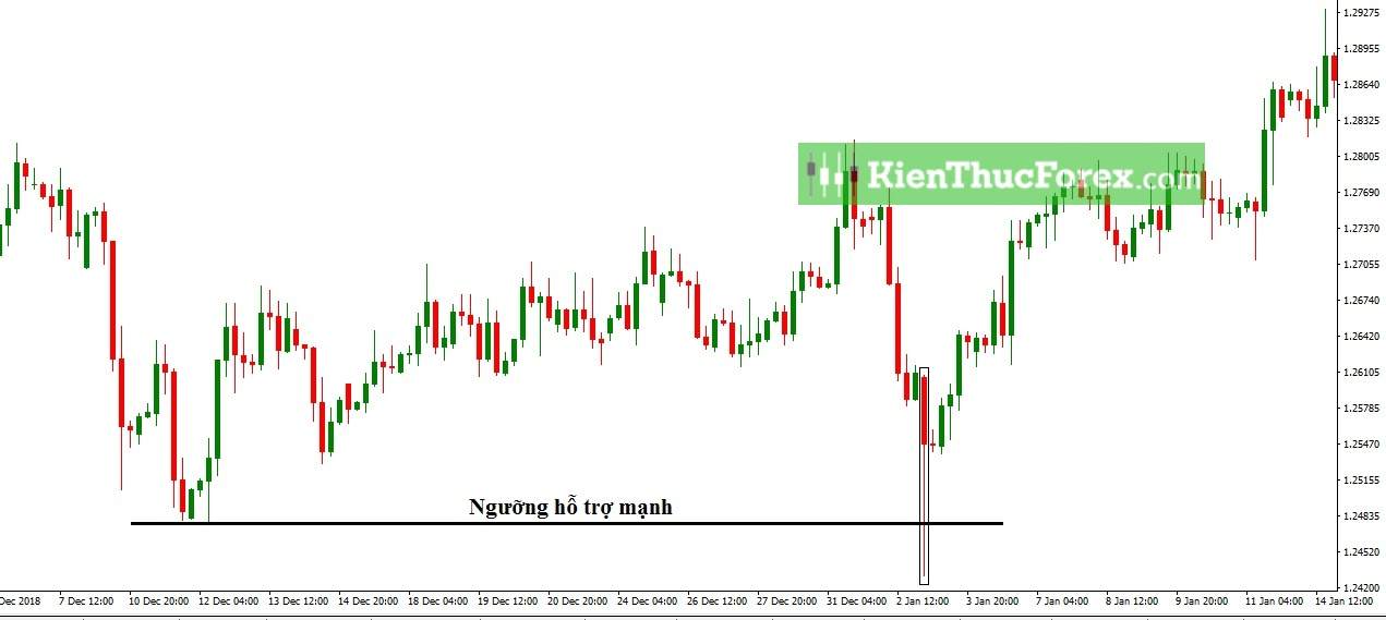 Bull Trap, Bear Trap là gì?