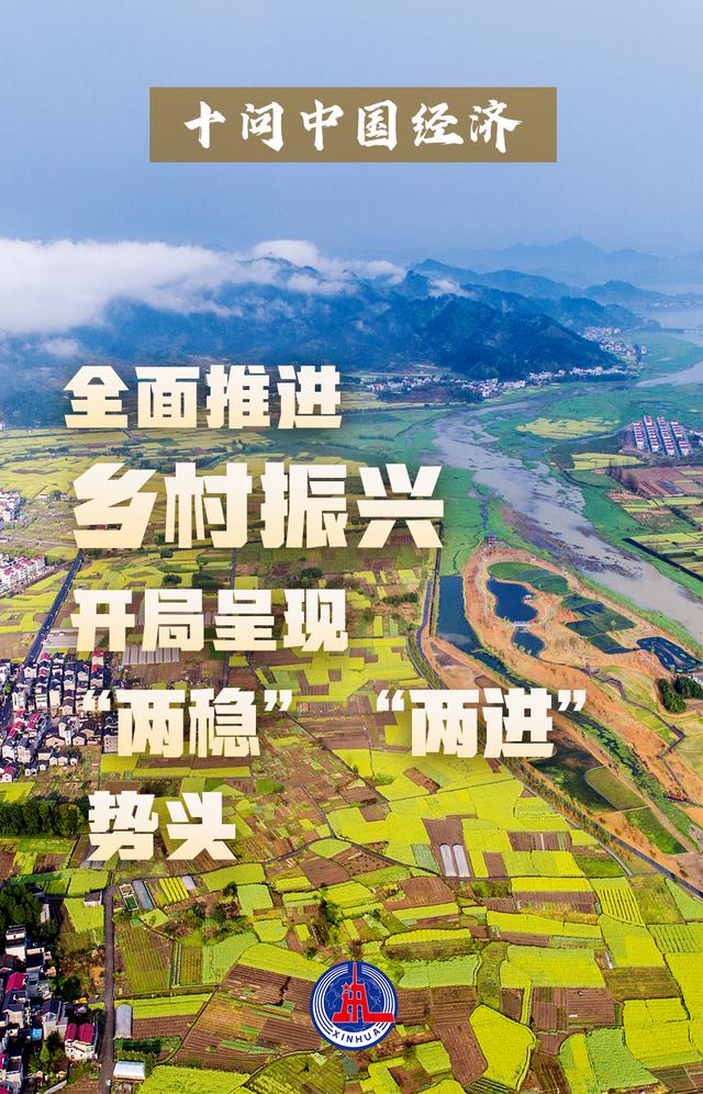 十问中国经济