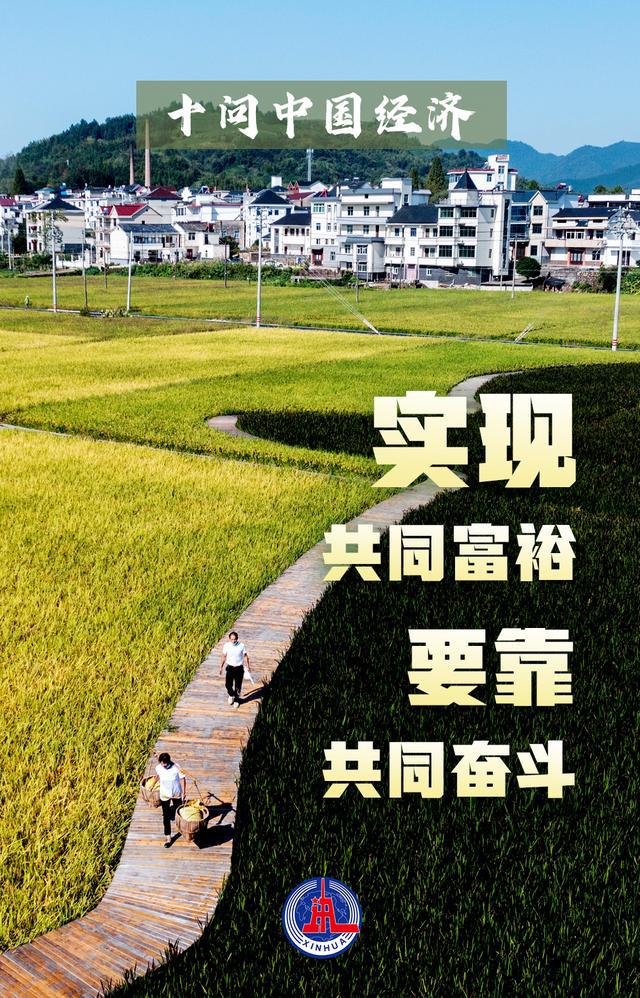 十问中国经济