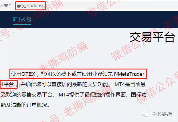 ANT社区AI跟单：国人自导自演币圈转战外汇圈的资金盘！