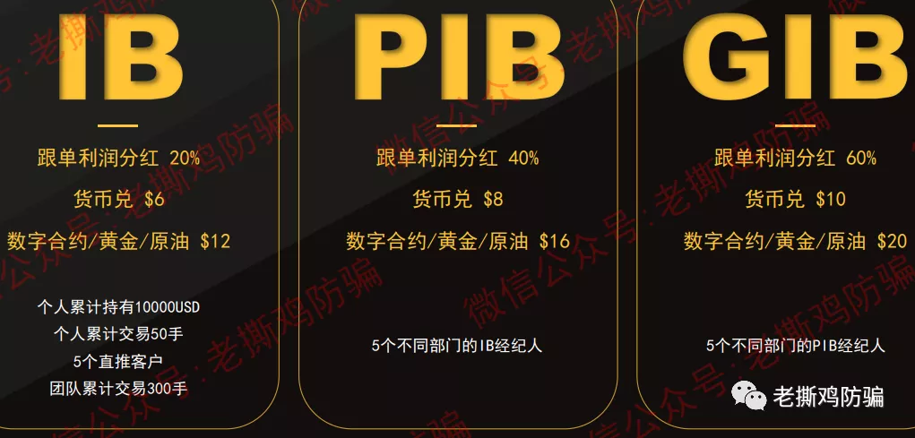 ANT社区AI跟单：国人自导自演币圈转战外汇圈的资金盘！