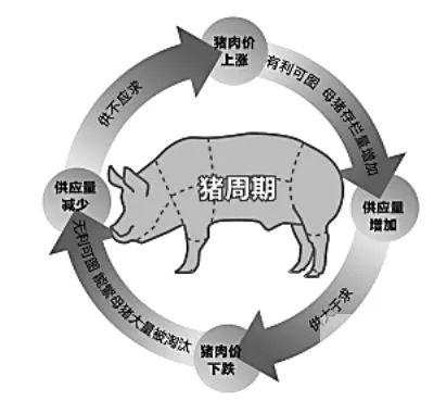 “二师兄”跌到尘埃