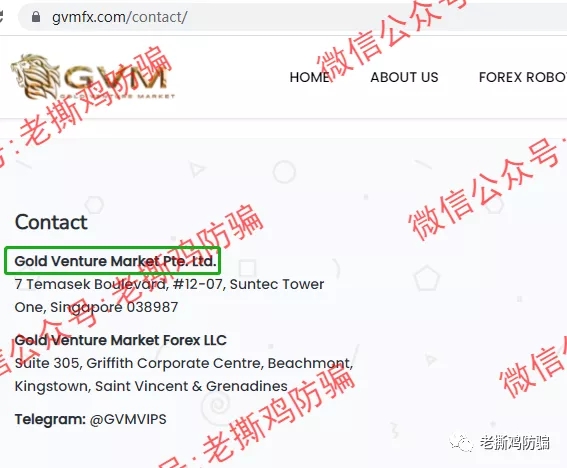 GVMFX汇盛国际的合作券商大通金融MEX跑了,Vantage还信得过?