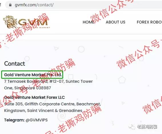 GVMFX汇盛国际的合作券商大通金融MEX跑了，Vantage还信得过？