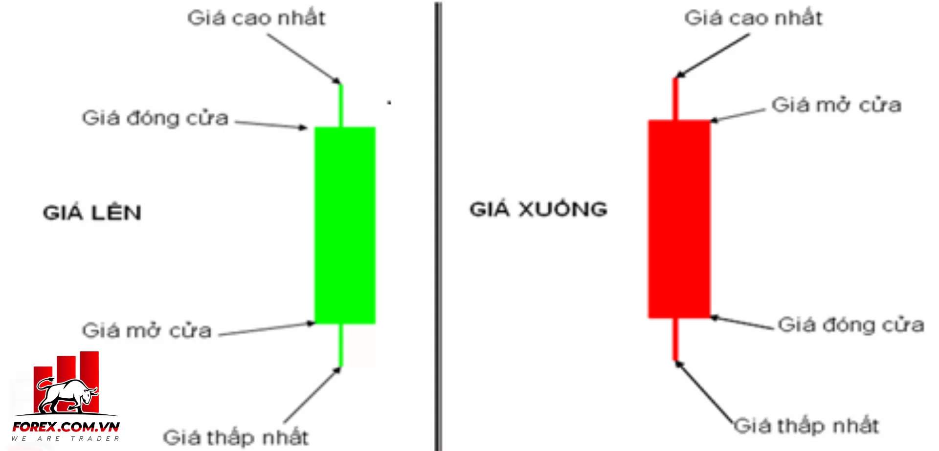 Nến đặc và nến rỗng là gì? Cách đọc mô hình nến cơ bản trong Forex