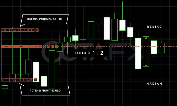 Manajemen Resiko dalam Trading Forex