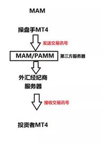 为什么外汇资管风气盛行？