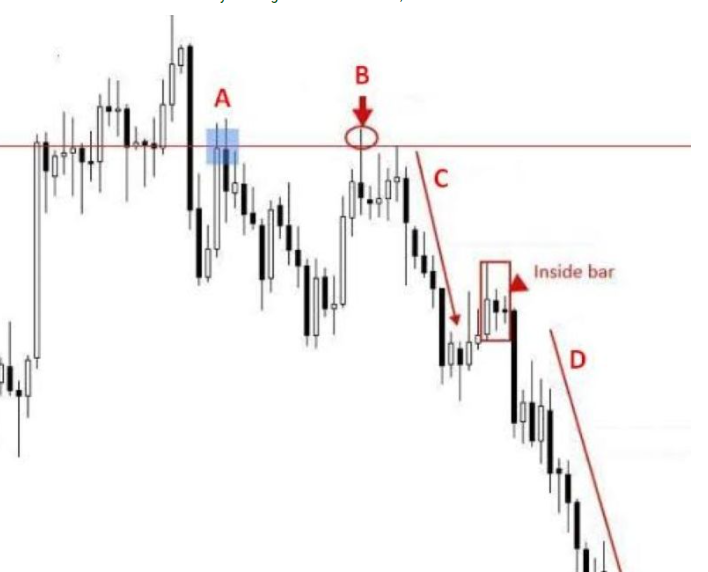 Cara Memahami Pergerakan Harga di Pasar Forex, Tips yang Harus diketahui