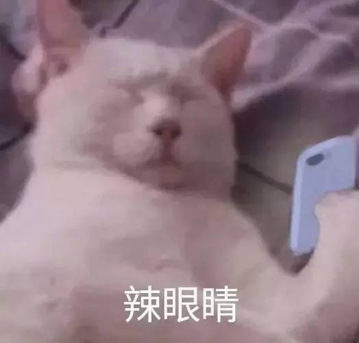 等猪养肥，宰杀之!