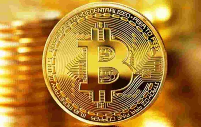 Jenis Koin Digital yang Paling Banyak Ditransaksikan