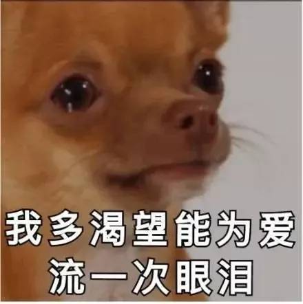 等猪养肥，宰杀之!