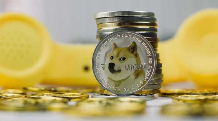 Harga Dogecoin Meroket 20 Persen Usai Deklarasi 'Doge Day'