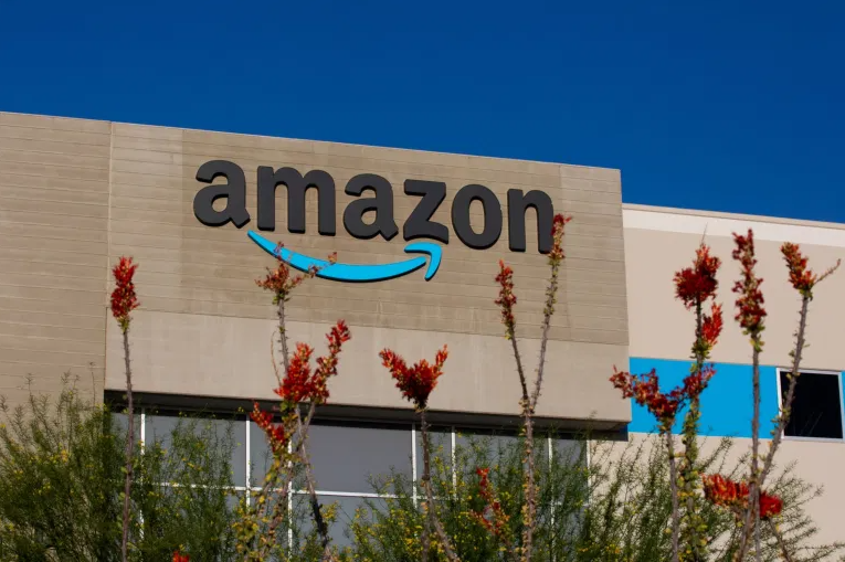 Persaingan Amazon Visa Tunjukkan Kekuatan Beralih ke Pengecer Dalam Pertempuran Biaya