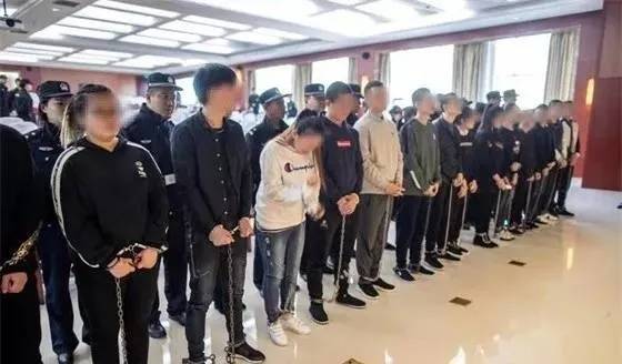投资者损失5000余万元，无知“求职者”锒铛入狱