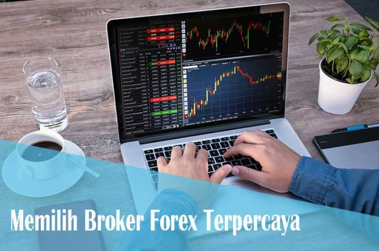 Panduan Singkat Memilih Broker Forex Terpercaya