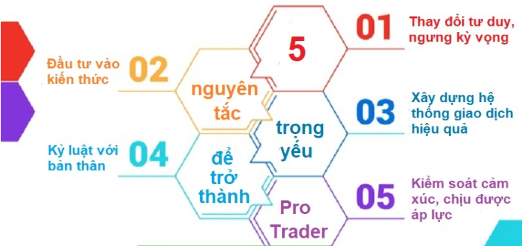 Các bước để trở thành một Pro trader