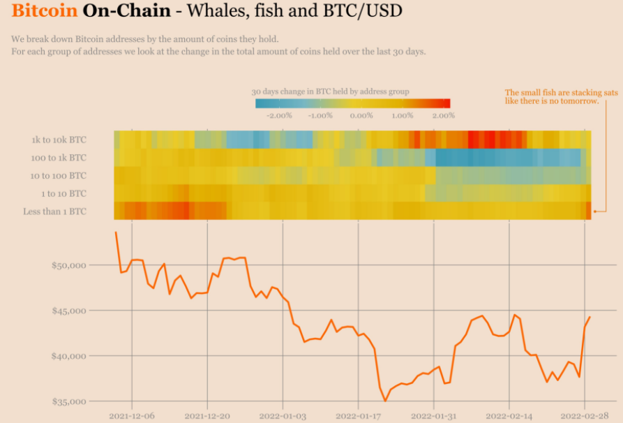 Bitcoin là ván cược tốt khi Fed làm mọi cách để cứu vãn nền kinh tế Mỹ