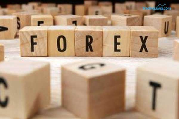 2 Hal yang Perlu Anda Lakukan Pasca Alami Kerugian pada Trading Forex