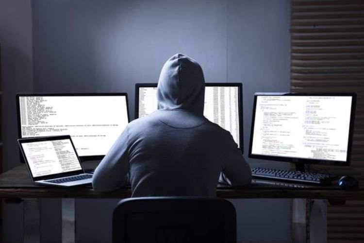 feed image