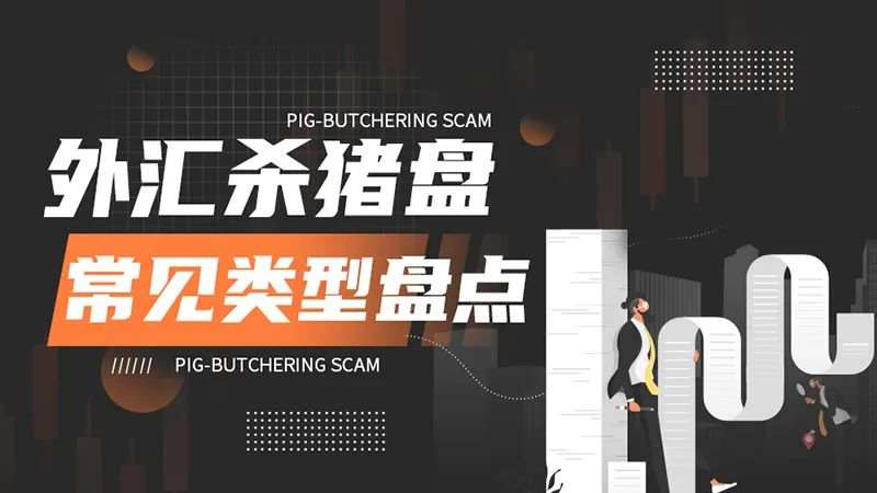 外汇杀猪盘套路在进步，网络交友的陷阱要警惕！