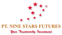 Profil dan Review Broker Nine Stars Futures