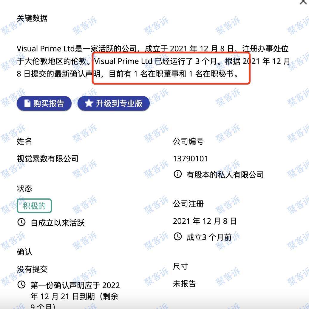 杀猪盘有哪些标志？Visual Prime Ltd来告诉你！