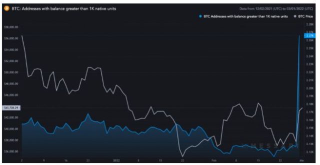 Lý do nào giúp Bitcoin chạm đến vùng $45.000 ngay khi bước sang tháng 3?