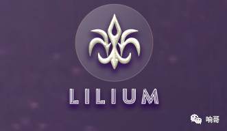 内幕消息!LILIUM百合计划证据实锤!就是国内人搞的资金盘!跑路在即!