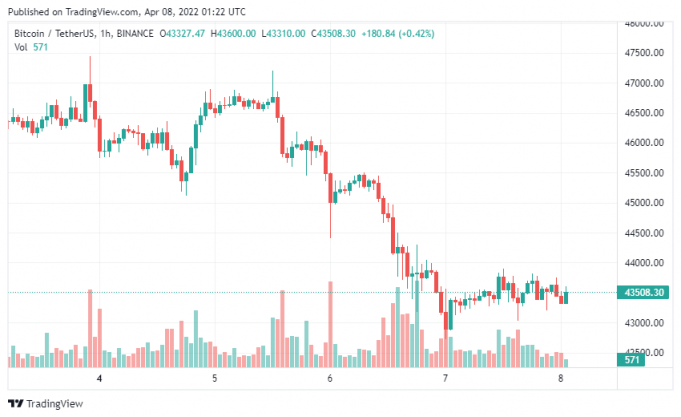 Thị trường “sợ hãi” khi Bitcoin chạm mức thấp dưới $ 42.900 – Đánh giá nguy cơ $ 32.000