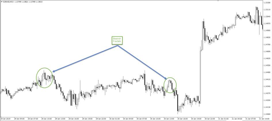 feed-image-1