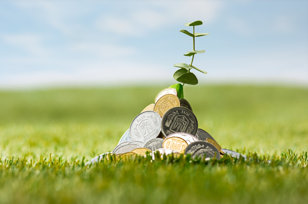 Kata OJK Soal Enel Kekuatan Hijau Ilegal & Investasi Bodong