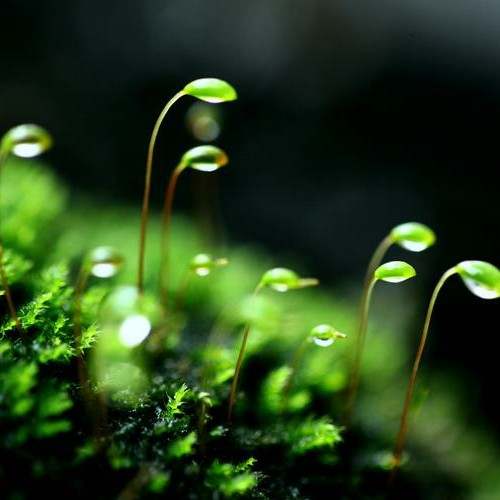 社区6月交易笔数锐减!XAU/USD连续6个月未盈利