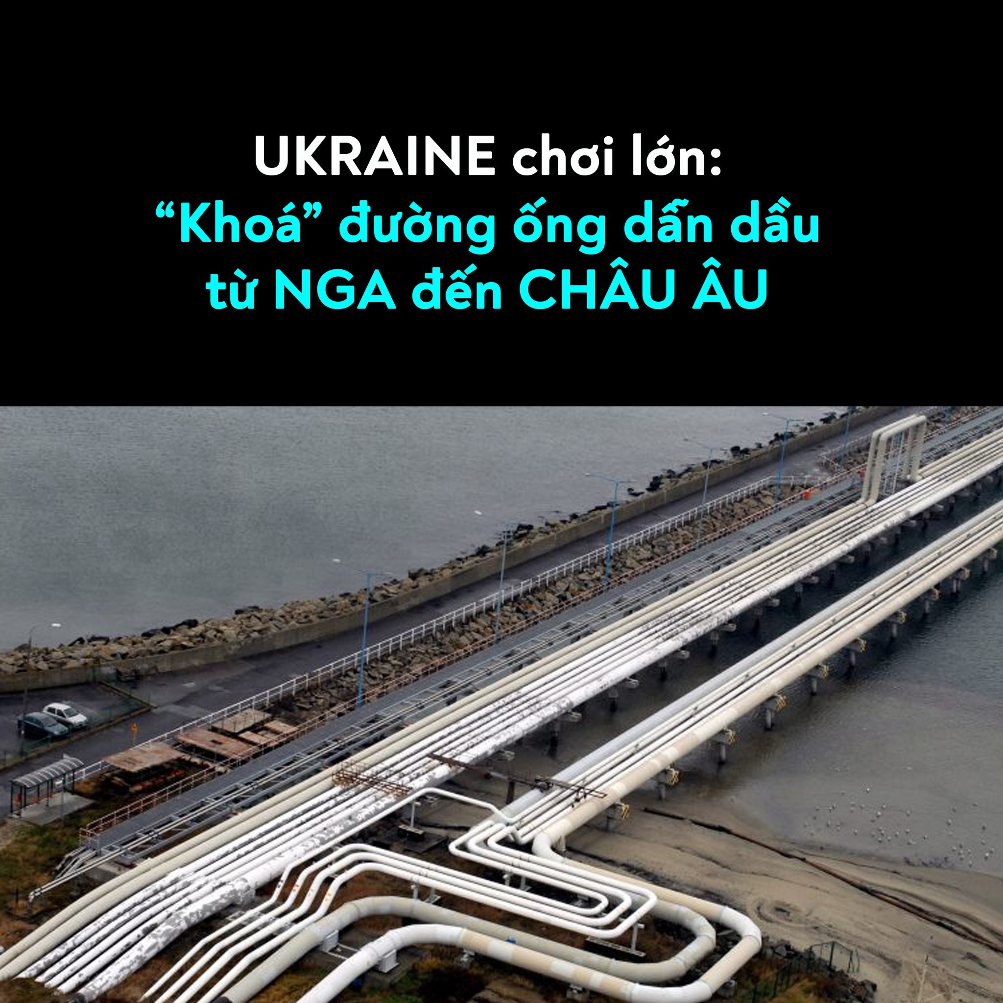 TRÂU BÒ HÚC NHAU, CHÂU ÂU LẠNH!