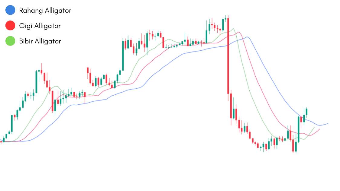 Ini Dia! Cara Melakukan Analisa dengan Menggunakan Indikator Alligator