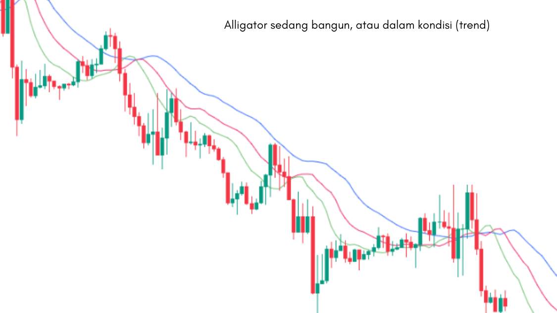 Ini Dia! Cara Melakukan Analisa dengan Menggunakan Indikator Alligator