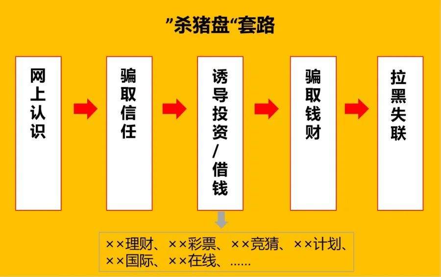杀猪盘为何割了一茬又一茬？