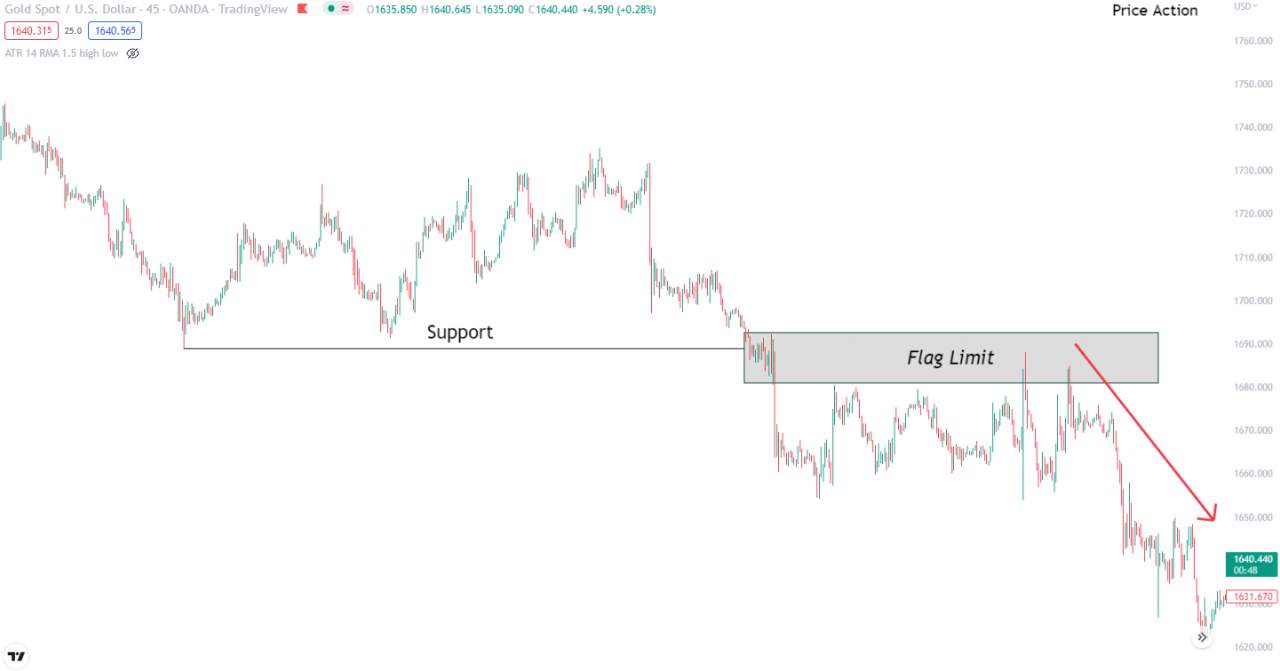 Mengenal Flag Limit Pada Chart Trading