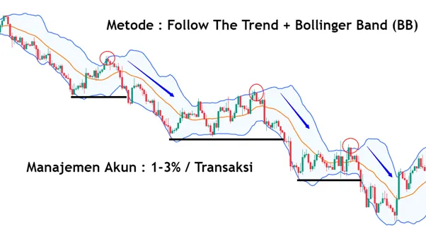 Ulasan Signal Provider @Roodie, The Best Position Trader
