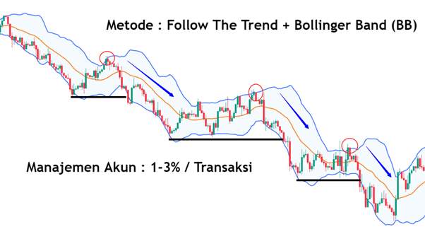 Ulasan Signal Provider @Roodie, The Best Position Trader