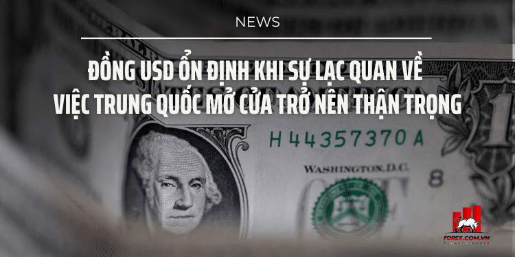 Đồng USD ổn định khi sự lạc quan về việc Trung Quốc mở cửa trở nên thận trọng