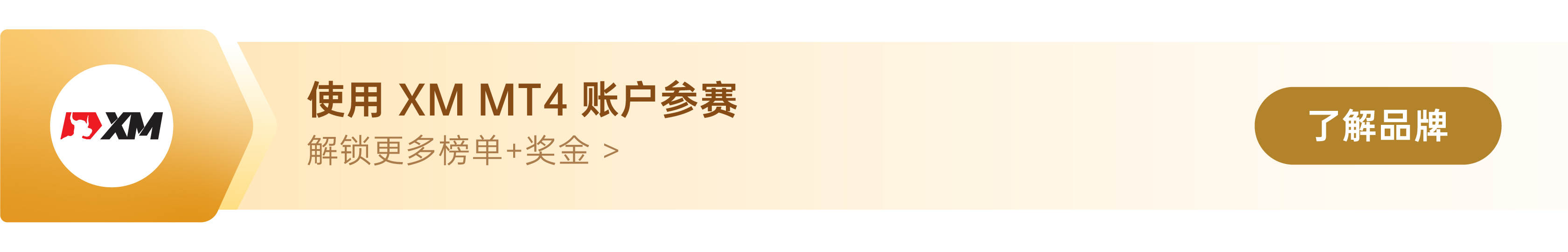 轻量组亚军来自XM组！再次祝贺 FOLLOWME S11 赛季圆满收官
