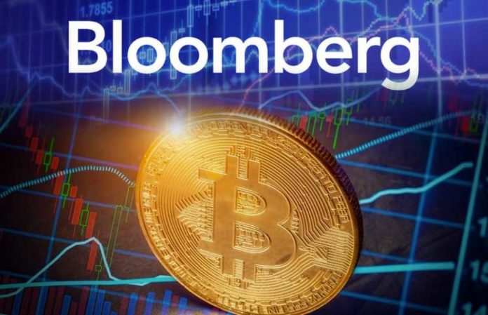 Bloomberg: Ethereum sẽ vượt trội hơn Bitcoin, MATIC sẽ bùng nổ